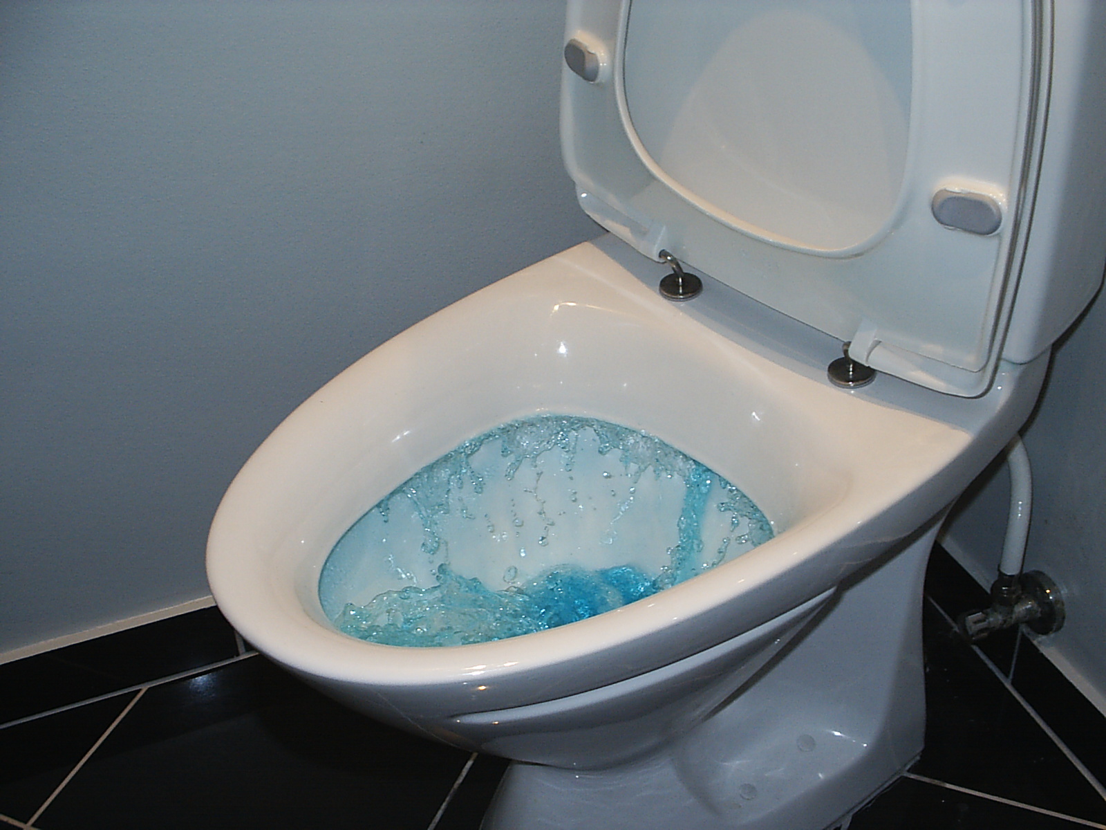 Toilet Skyller Big Blue 3